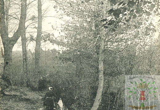 Grand-Fougeray - Ruisseau de la Personne