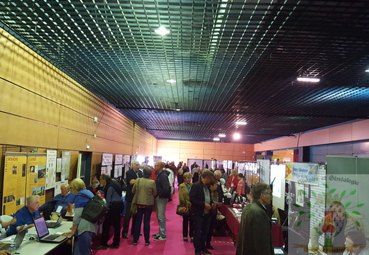 Vue sur le salon